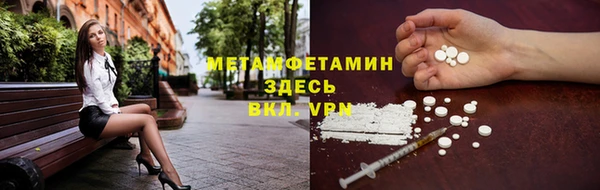 ГАЛЛЮЦИНОГЕННЫЕ ГРИБЫ Семёнов