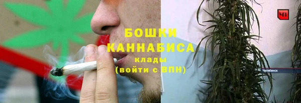 ГАЛЛЮЦИНОГЕННЫЕ ГРИБЫ Семёнов
