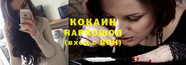 ГАЛЛЮЦИНОГЕННЫЕ ГРИБЫ Семёнов