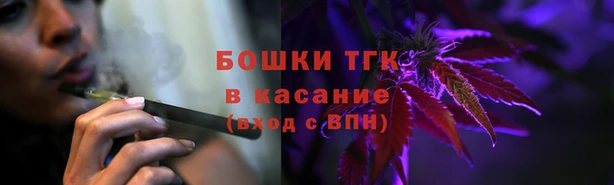 ГАЛЛЮЦИНОГЕННЫЕ ГРИБЫ Семёнов