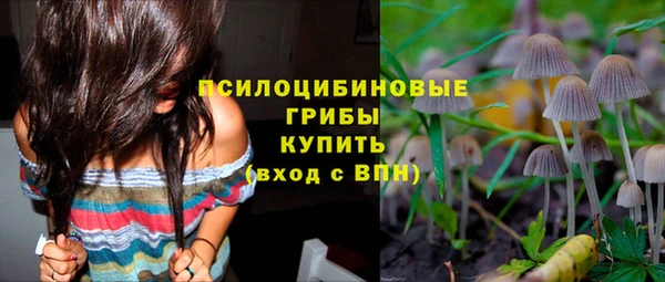 mdpv Семикаракорск
