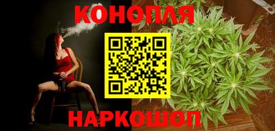 трава Гатчина