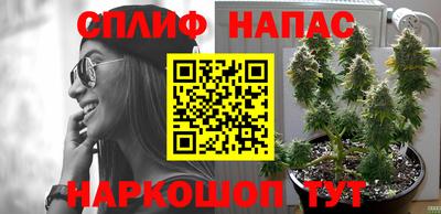 скорость Аргун