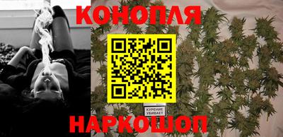 трава Гатчина