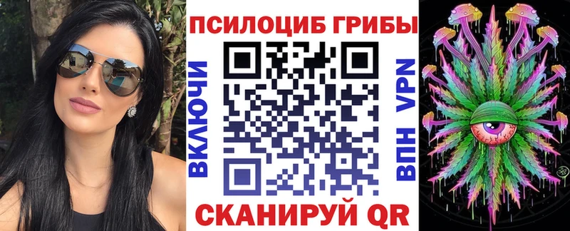 цена   Ессентуки  Галлюциногенные грибы Psilocybine cubensis 