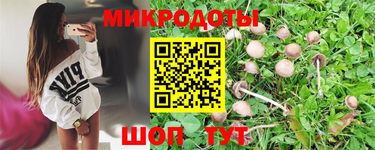 Псилоцибиновые грибы Cubensis  Псилоцибиновые грибы Psilocybine cubensis  Вход с VPN  Ессентуки 